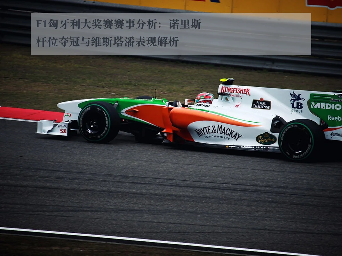F1匈牙利大奖赛赛事分析：诺里斯杆位夺冠与维斯塔潘表现解析